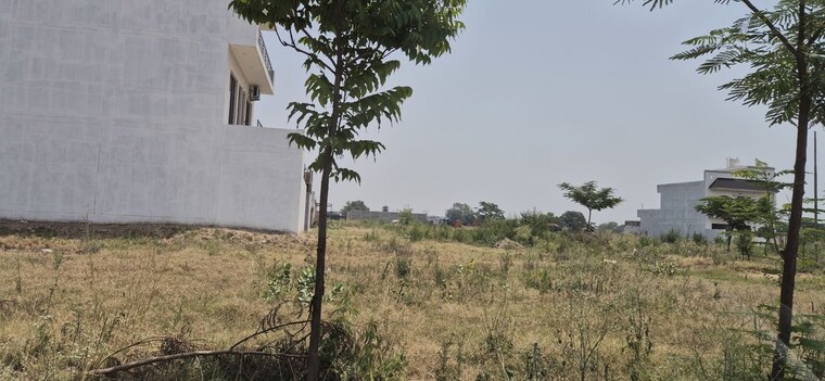 undefined, mullanpur  225 Sq.Yd. Plot In Mullanpur Mohali 10383184