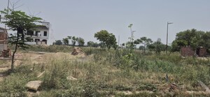  Plot For Sale in Mullanpur