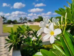  Plot – Garden View at Sejbahar - for Sale
