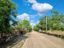 Plot For Sale in Sejbahar