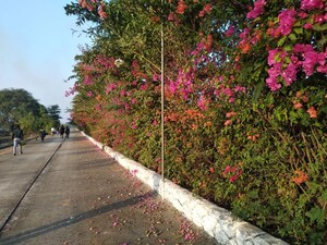 Plot Area in  Plot at Sejbahar – for Sale