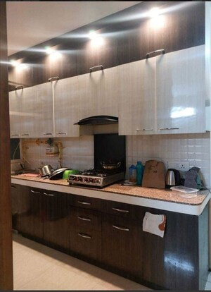 Kitchen in 2 BHK Apartment at Tulip Lemon, Sector 69 – for Rent