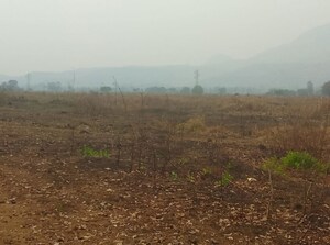 Plot Area in  Plot at Pali – for Sale