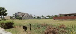 Plot For Sale in Omaxe New Chandigarh