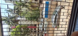 1 BHK Apartment – Exterior View View at Shiv Parvati, Malad West - for Rent