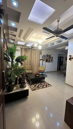 Living Room in 3 BHK Apartment at Preet Colony – for Rent