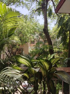 3 BHK + Pooja Room,Store Room Apartment For Rent in Sarita Vihar