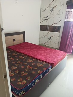 3 BHK Apartment For Rent in ATS Allure