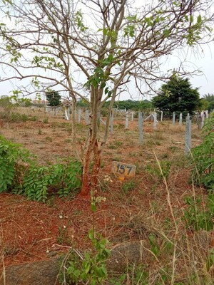  Land For Sale in Panduranga Nagar
