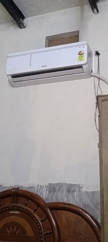 3.5 BHK + Pooja Room,Study Room,Basement Builder Floor For Rent in M3M Soulitude
