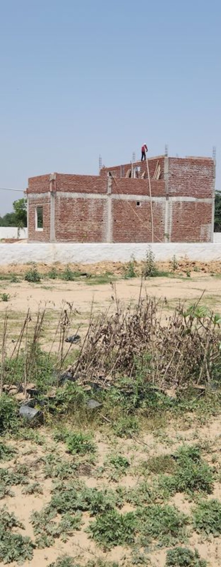 undefined, 3c-lotus-city  100 Sq.Yd. Plot In Sector 17b Yamuna Expressway Greater Noida 10384045
