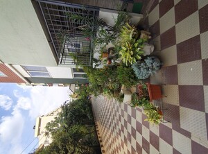 Balcony in 2 BHK Apartment at BM Sernity, Hsr Layout – for Rent