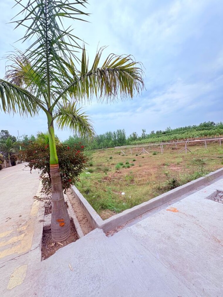 undefined, biharigarh  350 Sq.Ft. Plot In Biharigarh Dehradun 10384641