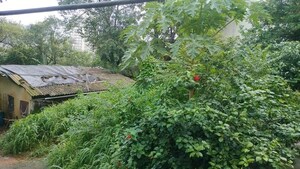  Apartment – Exterior View View at Vasai - for Sale