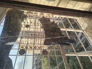 1 BHK Apartment – Exterior View View at Venus Towers, Kurla - for Rent