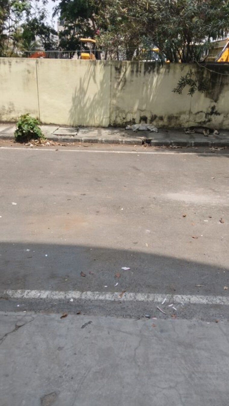 Exterior View, subramanyapura  1260 Sq.Ft. Apartment In Subramanyapura Bangalore 10385118