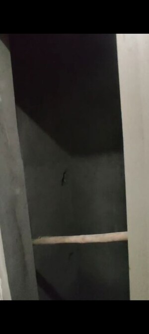 Lift in 2 BHK Builder Floor at Vasant Kunj – for Sale
