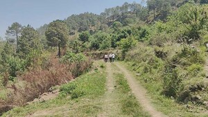 Plot Area in  Plot at Ramnagar – for Sale