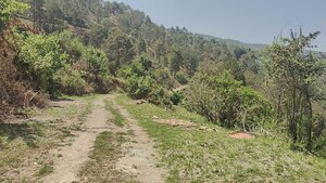 Plot Area in  Plot at Ramnagar – for Sale