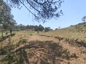 Plot Area in  Plot at Ramnagar – for Sale