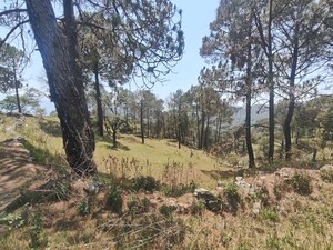 Plot Area in  Plot at Ramnagar – for Sale