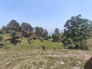 Plot Area in  Plot at Ramnagar – for Sale