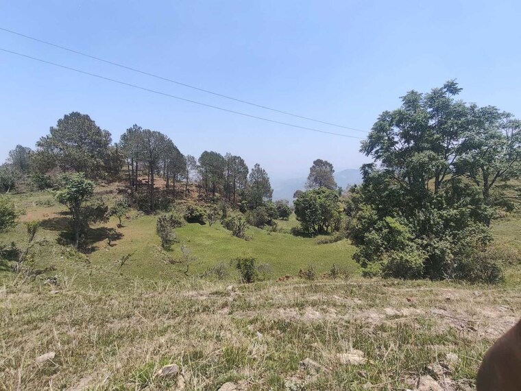 undefined, ramnagar  6804 Sq.Ft. Plot In Ramnagar Nainital 10386172