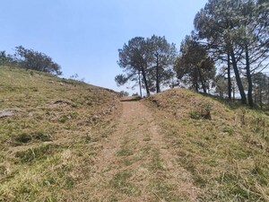 Plot Area in  Plot at Ramnagar – for Sale