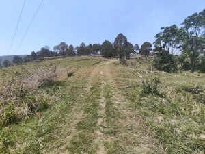 Plot Area in  Plot at Ramnagar – for Sale