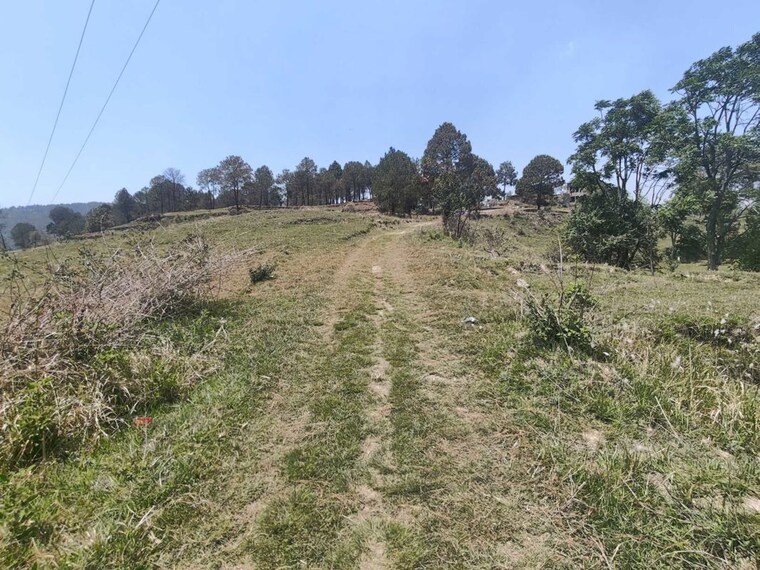 undefined, ramnagar  6804 Sq.Ft. Plot In Ramnagar Nainital 10386172