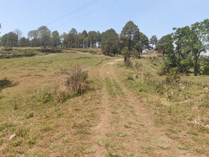 Plot Area in  Plot at Ramnagar – for Sale