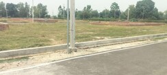 Plot For Sale in Maulviganj