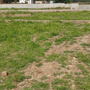 Plot Area in  Plot at Babatpur – for Sale