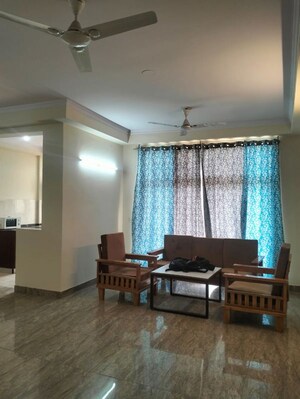 Living Room in 3 BHK Apartment at Amrapali Silicon City, Sector 76 – for Rent