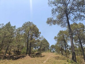 Plot – Exterior View View at Ramnagar - for Sale
