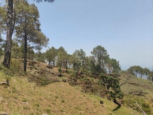  Plot – Exterior View View at Ramnagar - for Sale