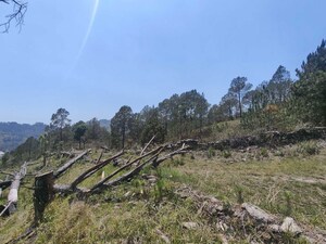  Plot – Exterior View View at Ramnagar - for Sale