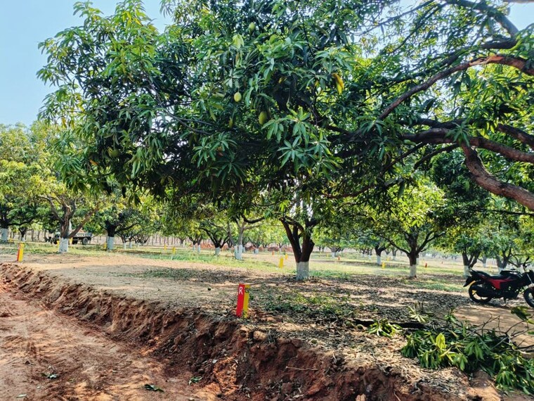 undefined, wargal  130 Sq.Yd. Plot In Wargal Hyderabad 10381276