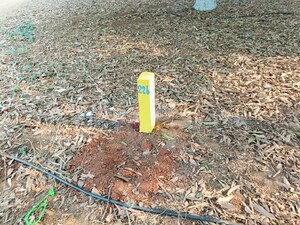 Plot Area in  Plot at Wargal – for Sale