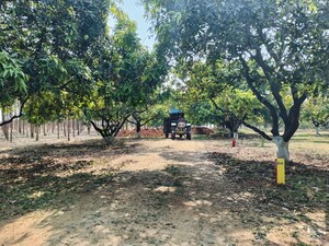Plot Area in  Plot at Wargal – for Sale