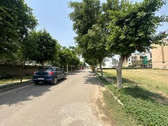 Plot For Sale in Sector 75