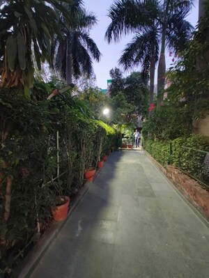 3 BHK Builder Floor – Garden View at Kalkaji - for Rent