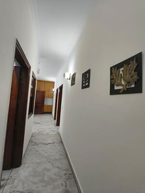 Building Lobby in 3 BHK Builder Floor at Kalkaji – for Rent