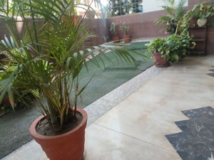 Balcony in 3 BHK Independent House at Dcm – for Rent