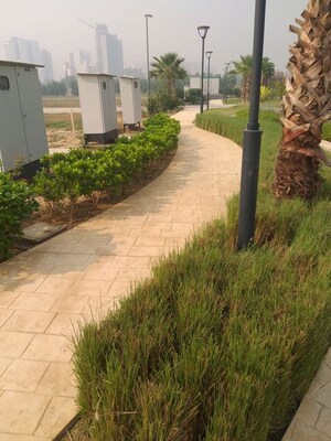  Plot at Soha Neal City, Sector 98 – for Sale