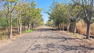Plot Area in  Plot at Sejbahar – for Sale