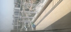 2 BHK + Study Room Apartment For Rent in GLS Avenue 81