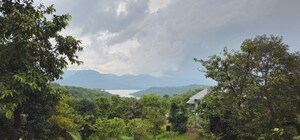 Plot Area in  Plot at Mulshi – for Sale