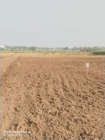 11000 Sq.Ft. Plot in Patethan