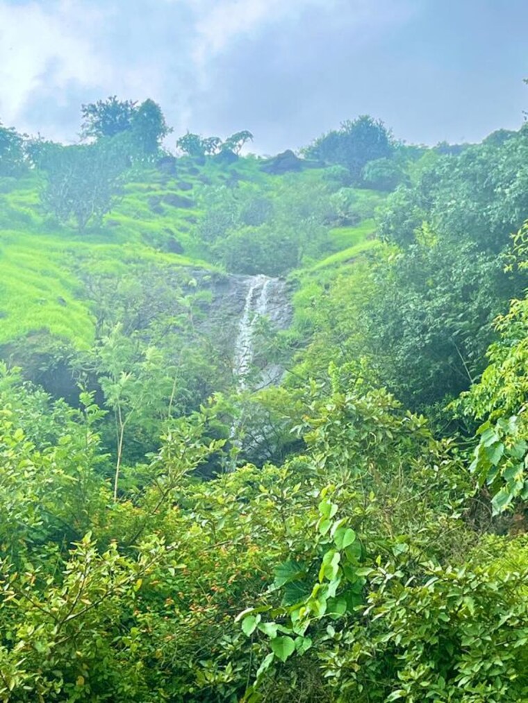 Garden, mahabaleshwar  43560 Sq.Ft. Plot In Mahabaleshwar Satara 10387791